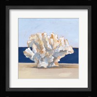 Coral By the Shore II Framed Print