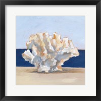 Coral By the Shore II Fine Art Print