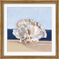 Coral By the Shore III Fine Art Print