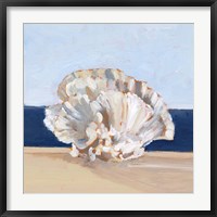 Coral By the Shore III Fine Art Print
