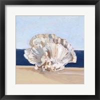Coral By the Shore III Framed Print