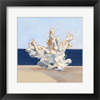 Coral By the Shore IV Fine Art Print