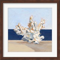 Coral By the Shore IV Fine Art Print