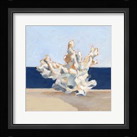 Coral By the Shore IV Framed Print