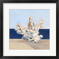 Coral By the Shore IV Framed Print