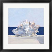 Shell By the Shore I Framed Print