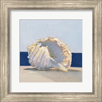 Shell By the Shore II Fine Art Print