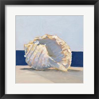 Shell By the Shore II Fine Art Print