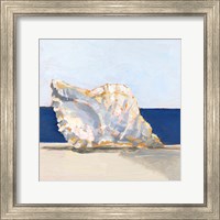 Shell By the Shore III Fine Art Print