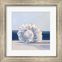 Shell By the Shore IV Fine Art Print