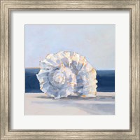 Shell By the Shore IV Fine Art Print
