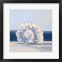 Shell By the Shore IV Framed Print