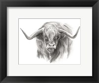 Soft Focus Highland Cattle II Fine Art Print