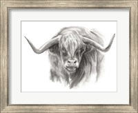 Soft Focus Highland Cattle II Fine Art Print