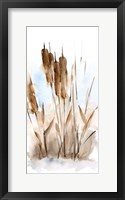 Watercolor Cattail Study I Framed Print