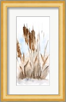 Watercolor Cattail Study I Fine Art Print