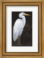 White Heron Portrait I Fine Art Print