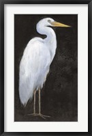 White Heron Portrait I Fine Art Print
