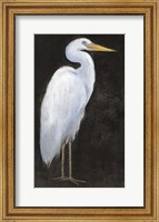 White Heron Portrait I Fine Art Print