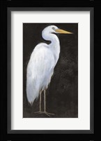 White Heron Portrait I Fine Art Print