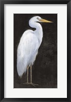 White Heron Portrait I Framed Print