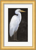 White Heron Portrait I Fine Art Print