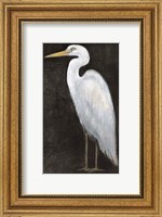 White Heron Portrait II Fine Art Print