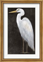 White Heron Portrait II Fine Art Print