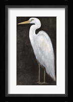 White Heron Portrait II Framed Print
