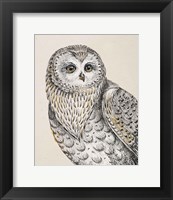 Beautiful Owls IV Vintage Fine Art Print