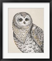 Beautiful Owls IV Vintage Framed Print