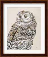 Beautiful Owls III Vintage Fine Art Print