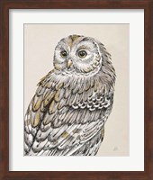 Beautiful Owls III Vintage Fine Art Print