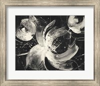 Bold III Dark Fine Art Print