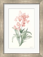 Spring Orchid I Fine Art Print