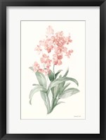 Spring Orchid I Framed Print