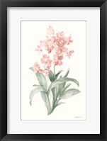 Spring Orchid I Fine Art Print