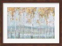 Lakeview Birches Fine Art Print
