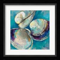 Shell Trio Fine Art Print