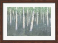 Green Forest Hues II Fine Art Print
