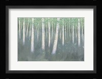 Green Forest Hues II Fine Art Print