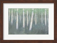 Green Forest Hues II Fine Art Print