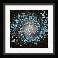 Butterfly Galaxy Fine Art Print