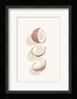 Tropical Coconuts Framed Print