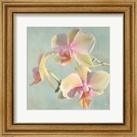 Jewel Orchids I Fine Art Print
