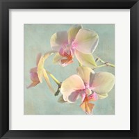 Jewel Orchids I Fine Art Print