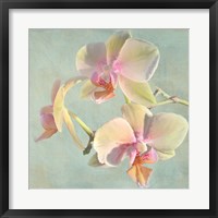 Jewel Orchids I Framed Print