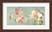 Jewel Orchids Fine Art Print