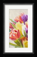 Spring Tulips I Fine Art Print