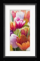 Spring Tulips II Fine Art Print